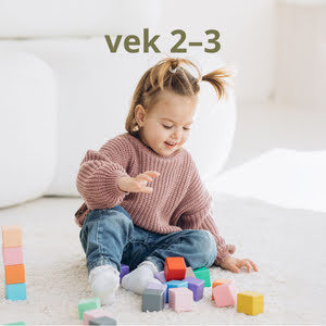 Vek sk - 3